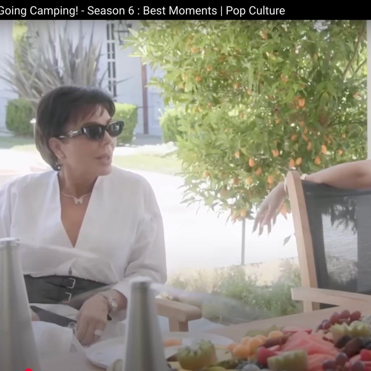 Automatic Fly & Mosquito Repellent Fan