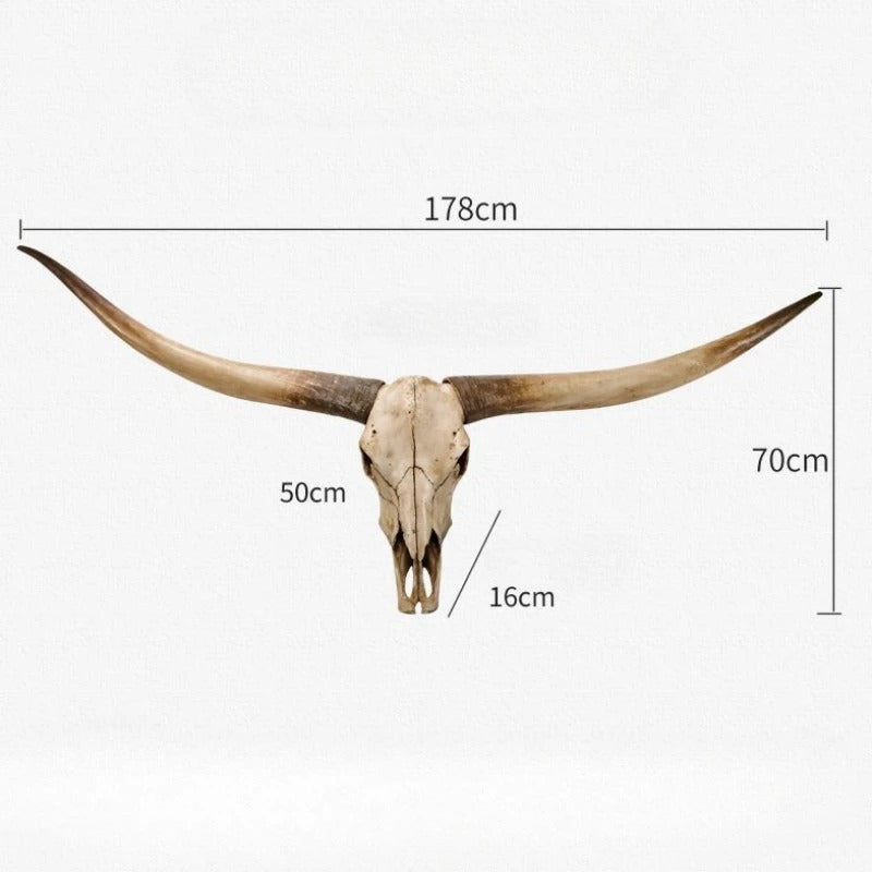 Extra Long Western Longhorn Skull